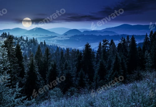 Preview: Spruce Forest In Mountains At Night In Full Moon Light. Lovely Summer Landscape
