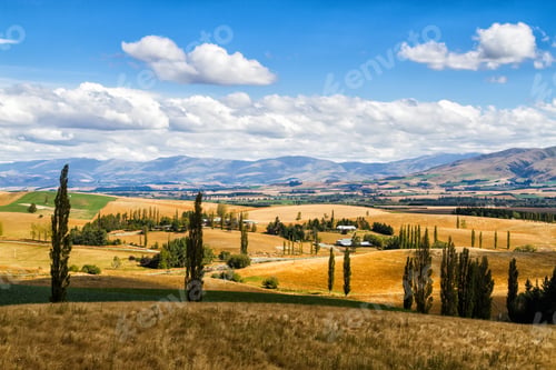 Preview: Farmland View In Summer On South Island In New Zealand