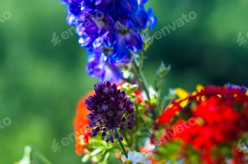 Preview: A Bouquet Of Bright Spring Flowers Of Various Types