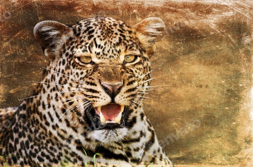 Preview: Leopard On Textured Grunge Background