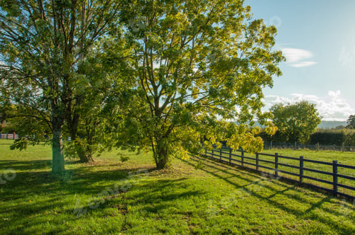 Preview: Silhouettes Along The Ranch Fence.