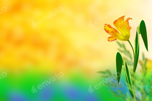 Preview: Natural Floral Background Of Spring Bright Flowers. Tulip