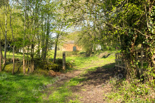 Preview: English Farm Dirt Road Image
