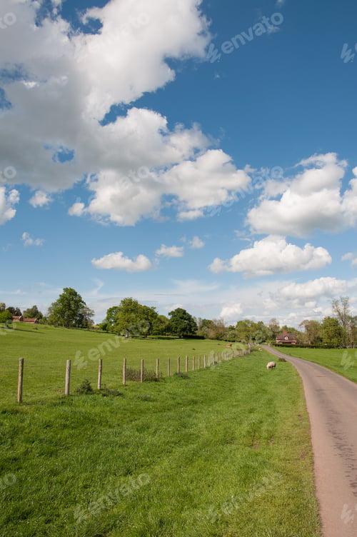 Preview: Agricultural Landscape In The English Countryside.