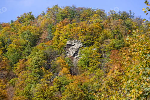 Preview: Mountain Forest In Autumn Colors, Armenia