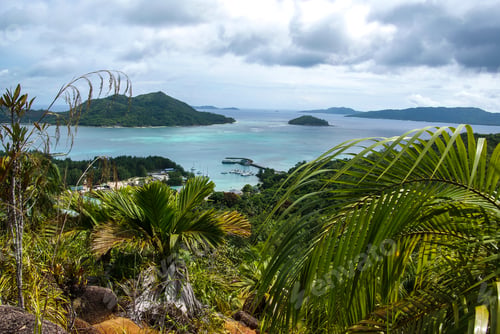 Preview: Fond Ferdinand Nature Reserve On Praslin, Seychelles