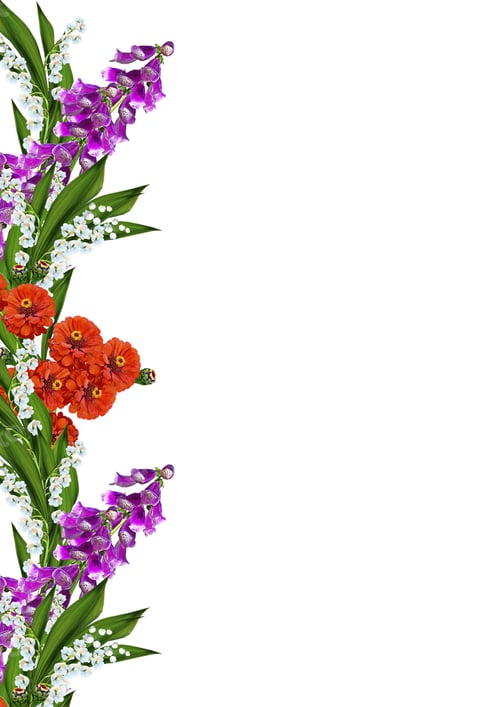 Preview: Spring Flowers Isolated On White Background