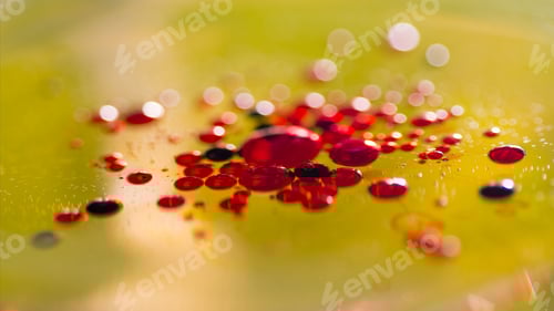 Preview: Abstract, Colorful Composition With Oil, Water And Ink