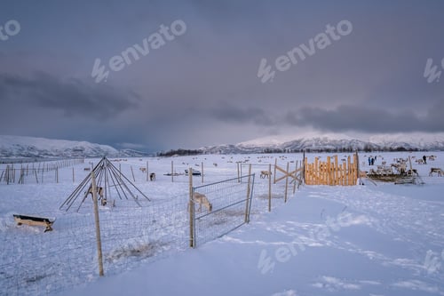 Preview: Fence In A Reindeer Sami Camp In The Mountain Winter Landscape, Tromso Region, Northern Norway