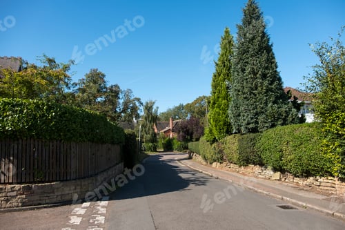 Preview: Deserted Village Road Background Image