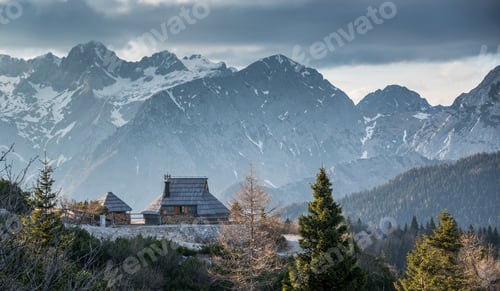 Preview: Spring Crocus At Velika Planina In Slovenia With Old Shepherd Cottages All Around.