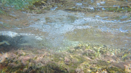 Preview: Underwater Photo Of Exotic Reef Covered With Turquoise Clear Sea Water
