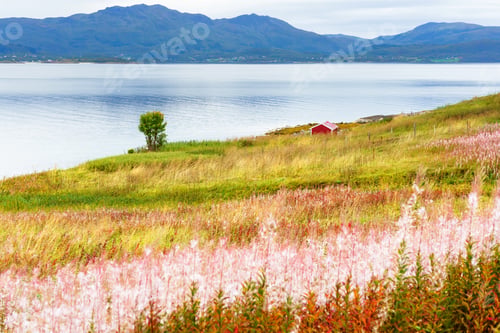 Preview: A Typical Lofoten Bay View. Scene On A Lovely Idyllic Day With. Lofoten Islands Are Popular Tourist