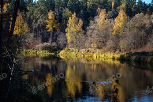 Preview: Nature Reflections In Clear Water In Lake Or River At Countryside. Autumn Colors