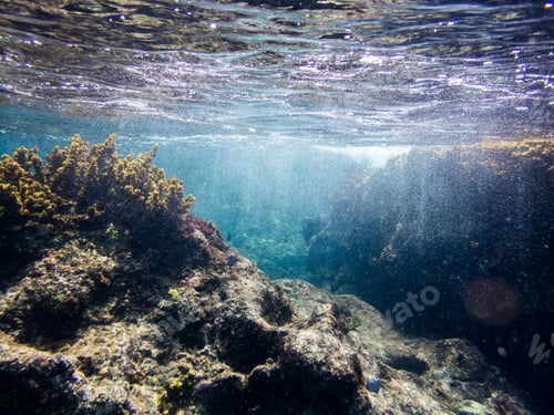 Preview: Underwater Views Around Curacao A Small Caribbean Island