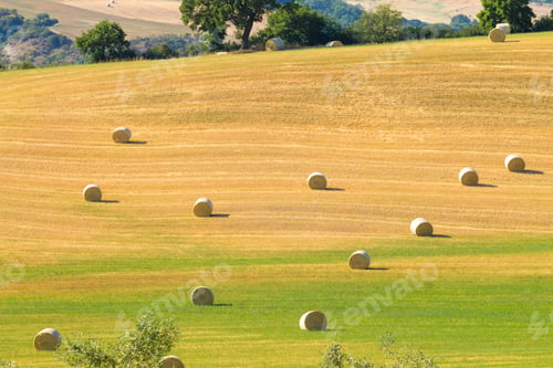 Preview: Tuscany Hills Landscape, Italy. Rural Italian Panorama.
