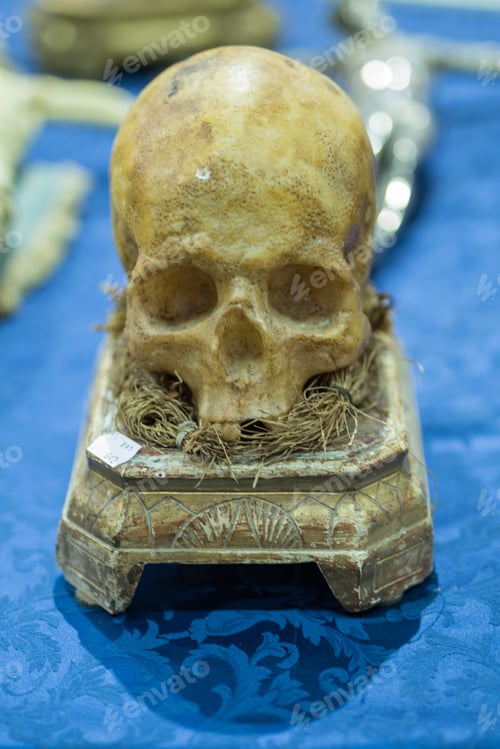 Preview: Human Skull Resting On A Pedestal On A Table.
