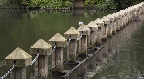 Preview: Posts In Water