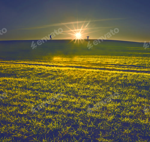 Preview: Silhouettes Of People On Young Green Field