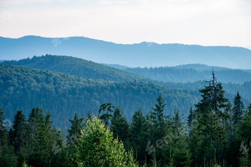 Preview: View To The Carpathian Mountains From Forest With Lonely Trees And Clouds Above