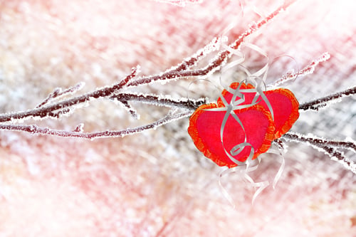 Preview: Trees In The Snow. Heart.Holiday Card