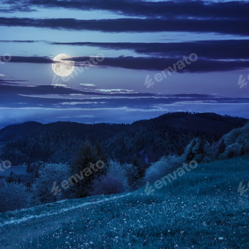 Preview: Mountain Summer Landscape. Trees Near Meadow And Forest On Hillside Under Sky With Clouds At Night