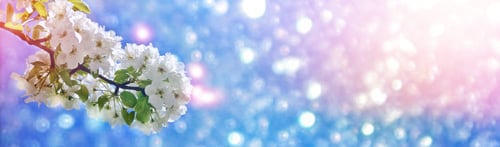 Preview: Blossoming Branch Apple. Bright Colorful Spring Flowers