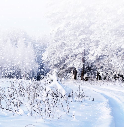 Preview: Winter Landscape. Wood.