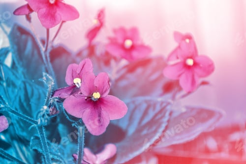 Preview: Spring Bright And Colorful Violet Flowers. Floral Background.