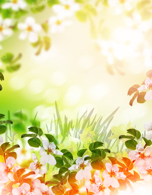 Preview: Blooming Apple Tree