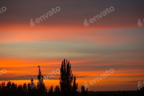 Preview: Landscape With Dramatic Light - Orange Clouds And The Outline Of Trees At Sunset