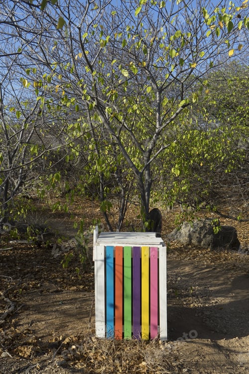 Preview: Walking Around Shete Boka National Park - Views Around Curacao A Caribbean Island