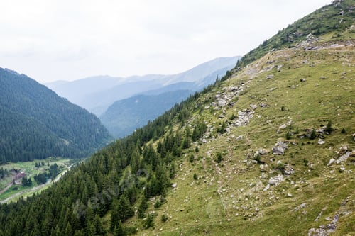 Preview: View To The Carpathian Mountains War Road Transfagarasan From The Top With Lonely Trees And Clouds