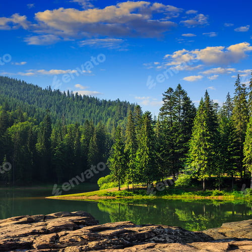 Preview: View On Lake Near The Pine Forest Early In The Morning On Mountain Background