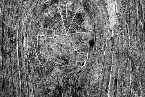 Preview: Wood Texture From Very Old, Weathered Piece Of Wood