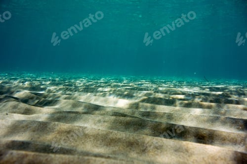 Preview: Underwater Texture And Fauna In Ionian Sea, Zakynthos, Greece