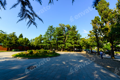 Preview: Garden Landscape