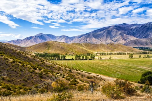 Preview: Beautiful Farmland View In Summer On South Island In New Zealand