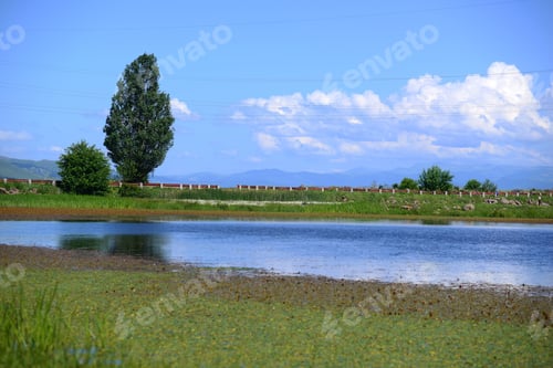 Preview: Lakeside Landscape