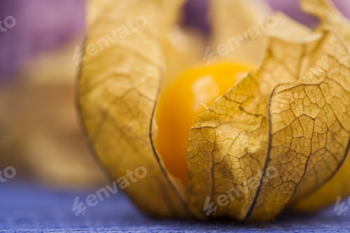 Preview: Macro Photography Of Physalis Peruviana Fruit