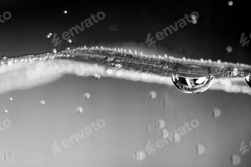 Preview: Underwater Composition With Leaf And Bubbles With Dark Background