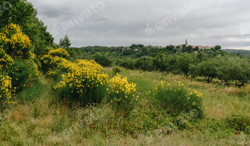 Preview: Medieval Town Of Groznjan In Croatia