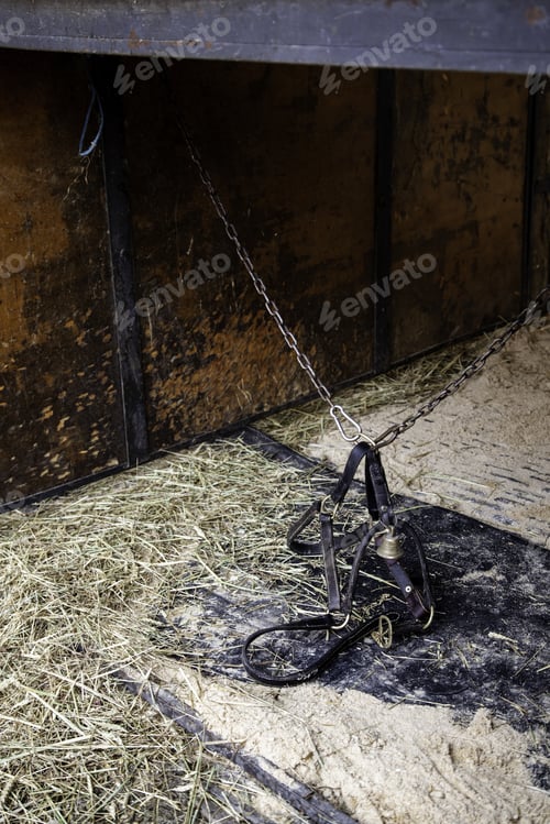 Preview: Empty Horse Stable, Accommodation Detail For Animals