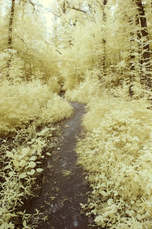 Preview: Infrared Landscape And Details