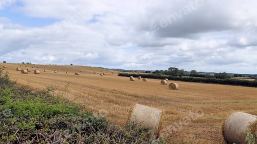 Preview: Straw Bales In An Autumn Field.
