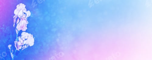 Preview: Bright Colorful Iris Flowers On A Background Of The Spring Landscape.