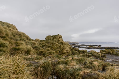Preview: South Georgia Landscape
