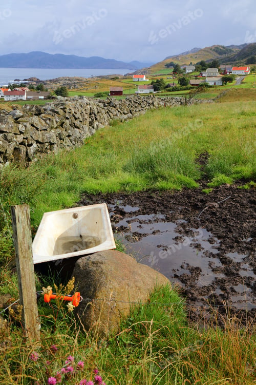 Preview: Norway Countryside Near Farsund In Vest-Agder County. Bathtub Converted Into Sheep Trough In A