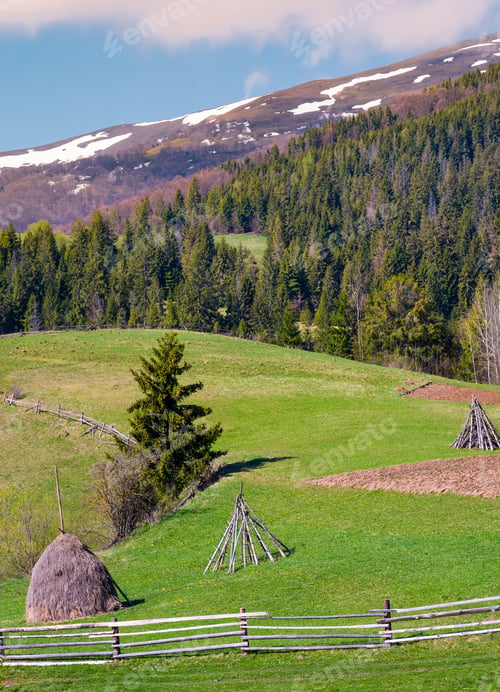 Preview: Haystack Behind The Fence On A Grassy Slope. Beautiful Countryside Scenery With Coniferous Forest