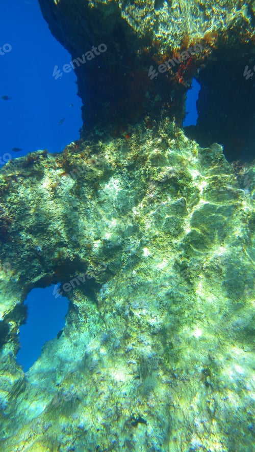 Preview: Underwater Photo Of Coral Reef In Caribbean Exotic Turquoise Waters